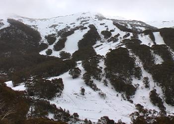 Thredbo