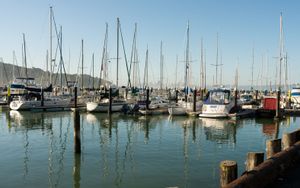 Tiburon