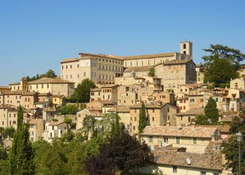 Todi