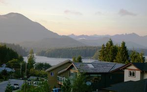 Tofino