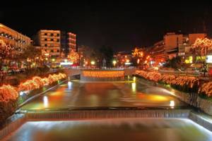تريكالا