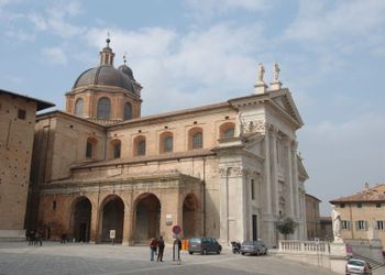 Urbino