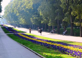 Varna