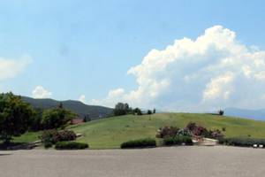 Vergina