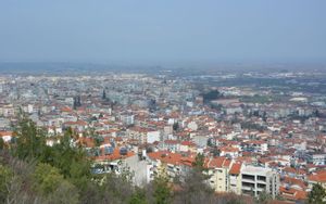 Veria