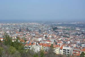 Veria