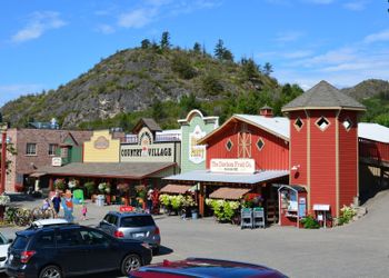 Vernon