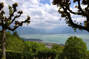 Vevey