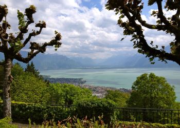 Vevey