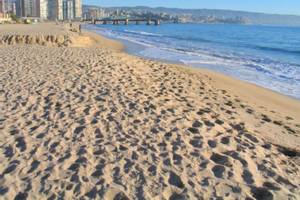 Viña del Mar