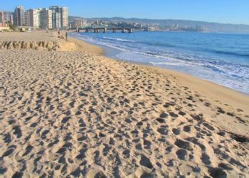 Viña del Mar