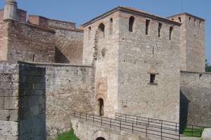 Vidin