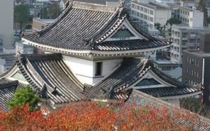 Wakayama
