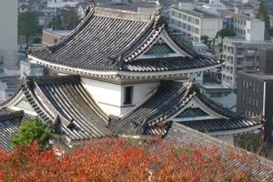 Wakayama