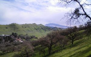 Walnut Creek