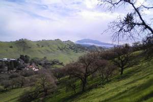 Walnut Creek