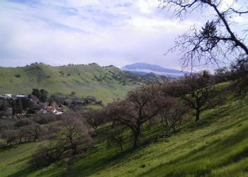 Walnut Creek