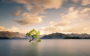 Wanaka