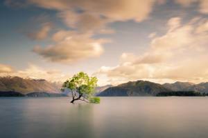 Wanaka
