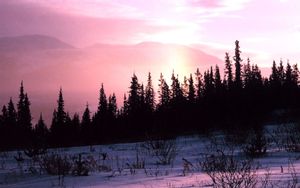 Whitehorse