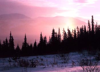 Whitehorse
