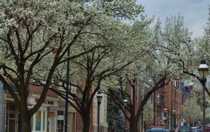 York