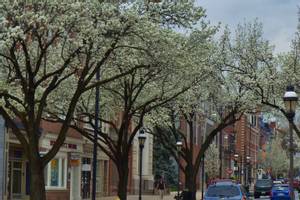 York