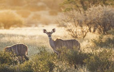 Explore Namibia - 3 destinations