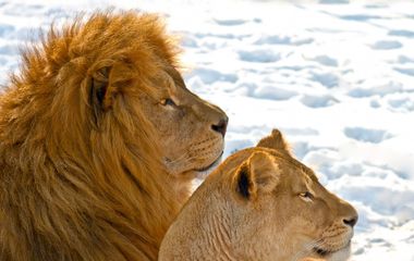 Explore Tanzania - 4 destinations