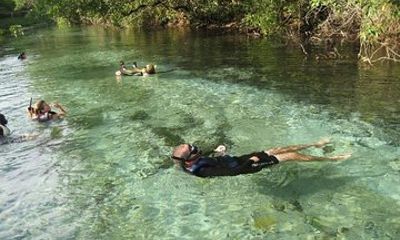 6-Day Pantanal & Bonito Experience