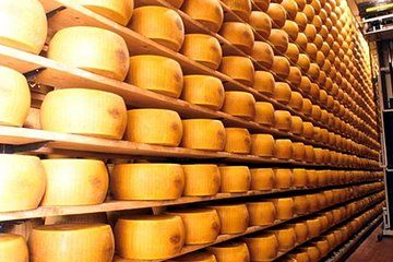 The Parmigiano Reggiano - Parmesan Cheese Museum