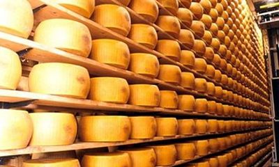 The Parmigiano Reggiano - Parmesan Cheese Museum
