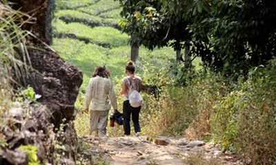 Half day trekking at Letchmi Hills in Munnar