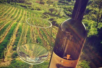 The Dionysus Tour - Wine Tasting at Plešivica and Samobor visit