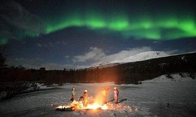 Northern Lights Tour Including Photos Under the Lights in Tromso