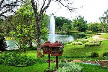 Escaping into Nature: Pyin Oo Lwin & Goteik viaduct overnight trip