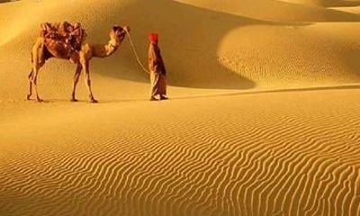 A Camel Safari with High Tea and Local Music