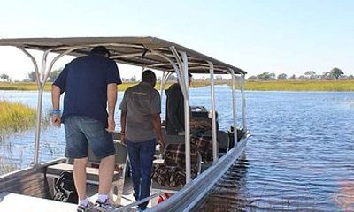 1-Day Okavango Delta Boat Safari from Maun