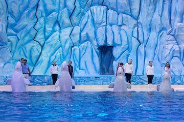 E-Ticket: Zhuhai Chimelong Ocean Kingdom, Circus & Penguin Hotel 1-night Coupon