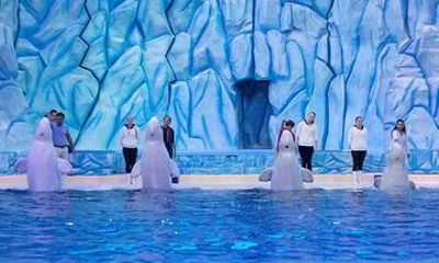 E-Ticket: Zhuhai Chimelong Ocean Kingdom, Circus & Penguin Hotel 1-night Coupon