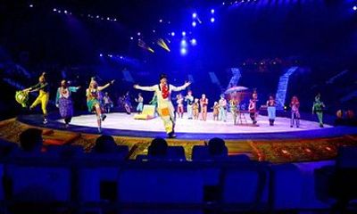 Zhuhai Chimelong Circus Ticket and Transfer