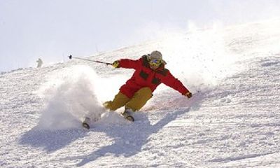 Kyoto: Biwako Valley Winter 1-Day Tour w Optional Activities