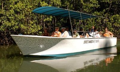 Damas Mangrove Boat Tour