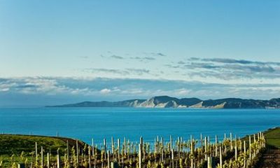 Picton Cruise Ship Shore Excursion Marlborough Wine Tour