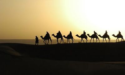 5-Day Private Desert Tour from Fez