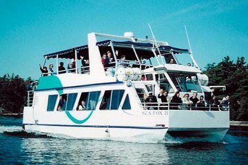 1000 Islands 90-minute Sightseeing Cruise