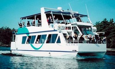 1000 Islands 90-minute Sightseeing Cruise