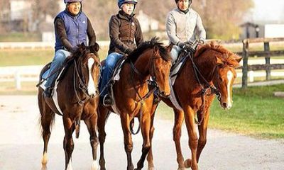 Behind the Scenes Thoroughbred Tour