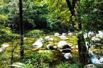Cairns Daintree Rainforest and Cape Tribulation 2-Day Tour
