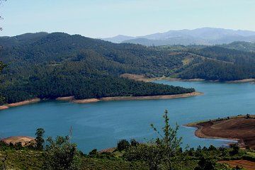 Private Custom Tour: Ooty Sightseeing with Guide